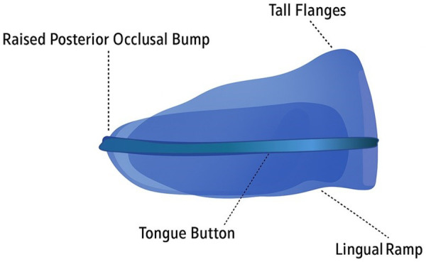 Figure 1