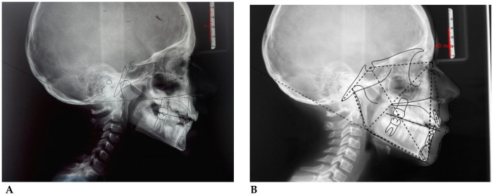 Figure 5