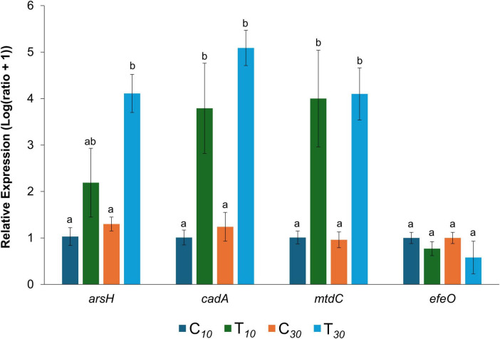 FIGURE 5