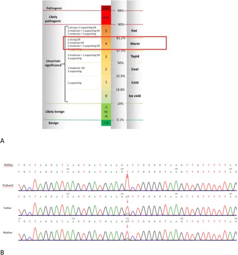 Figure 3