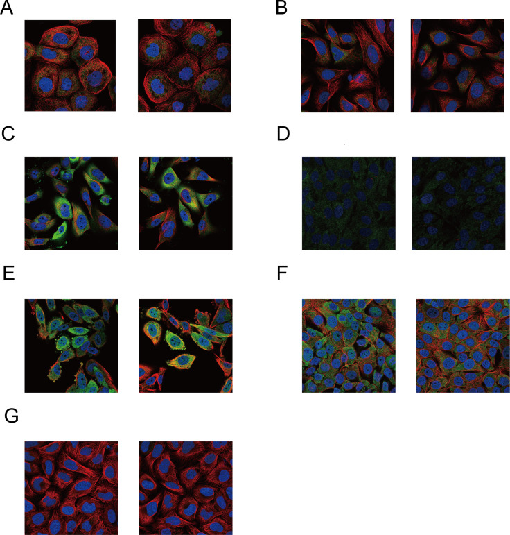 Figure 7