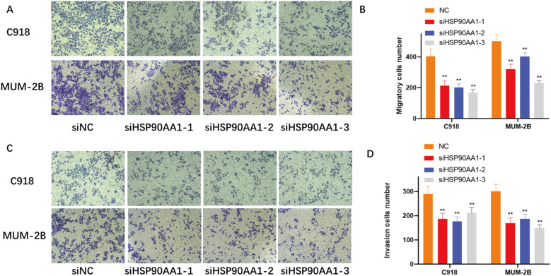 Figure 13