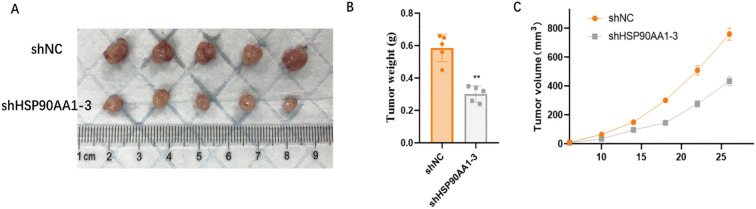 Figure 14