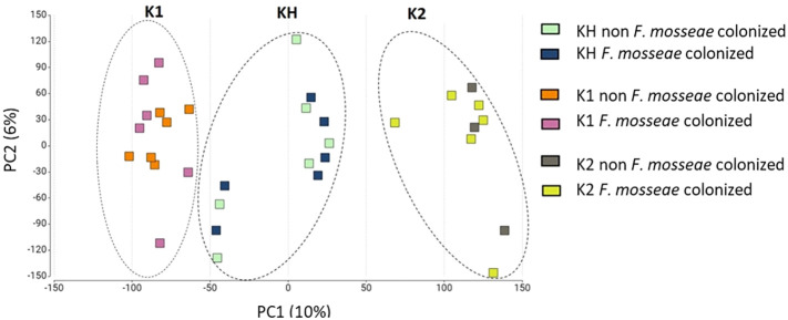 Figure 5