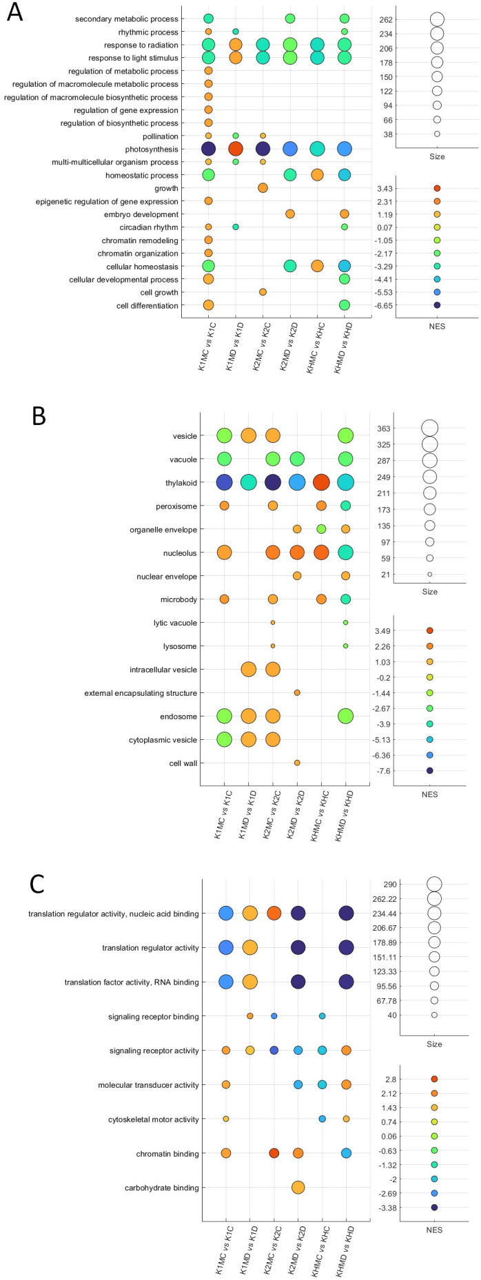 Figure 6