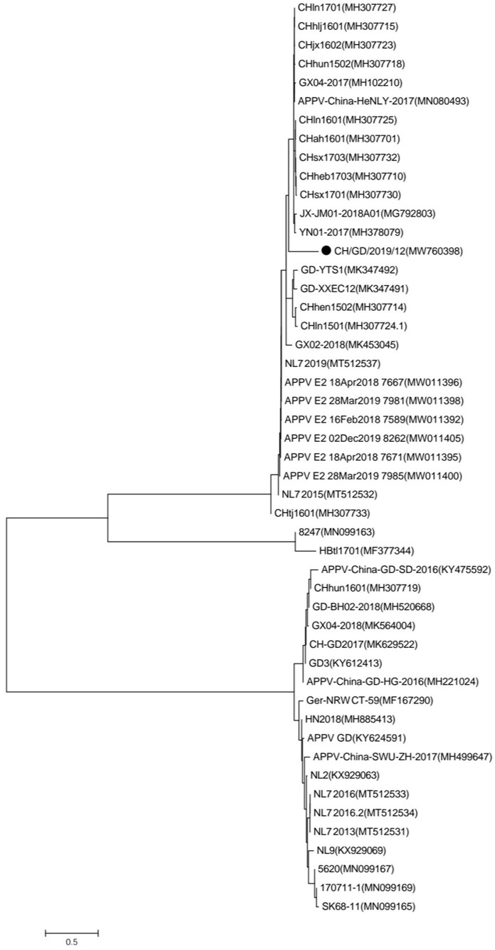 Figure 1