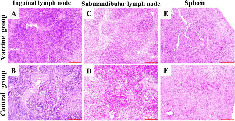 Figure 5