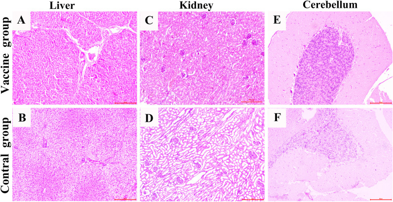 Figure 6