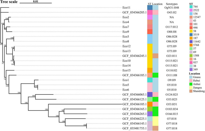FIGURE 3