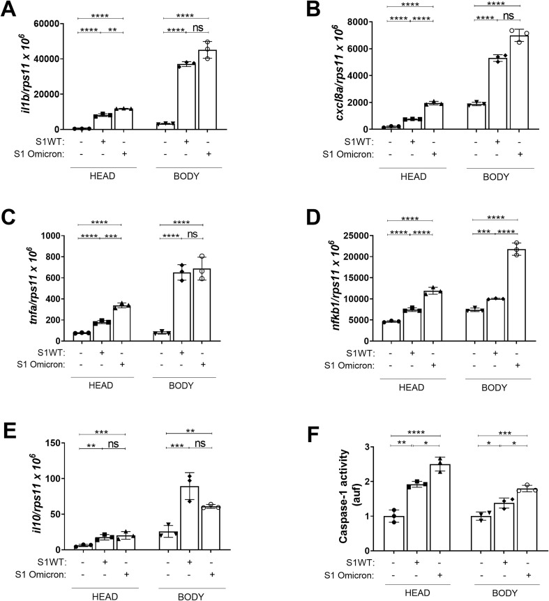 Figure 2