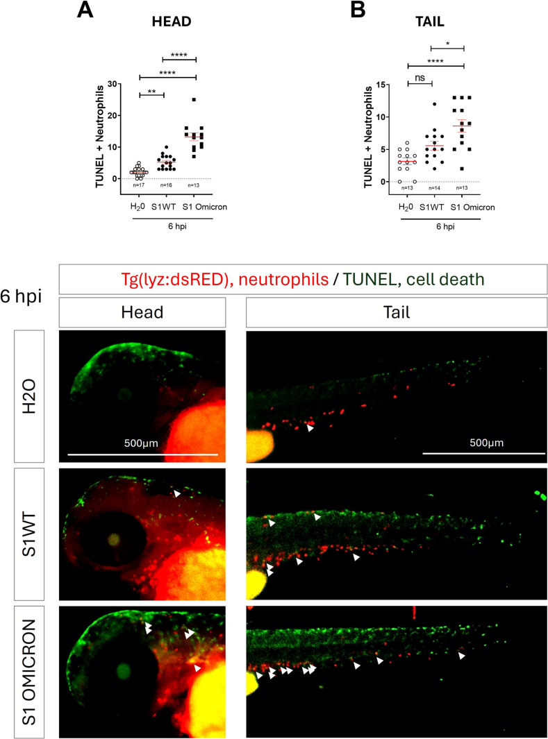 Figure 3