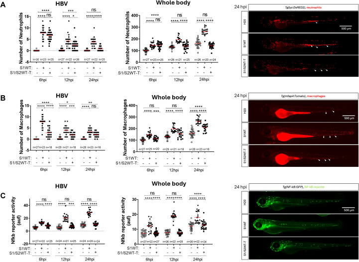 Figure 4