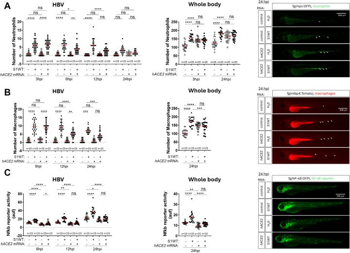 Figure 6