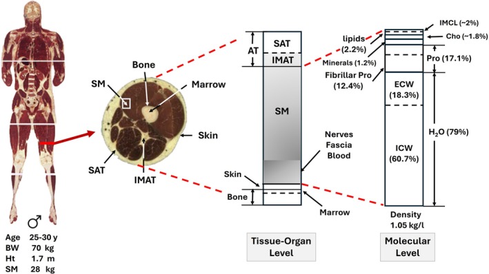 FIGURE 3