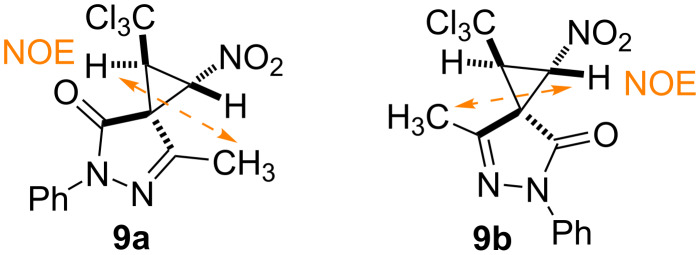 Scheme 5