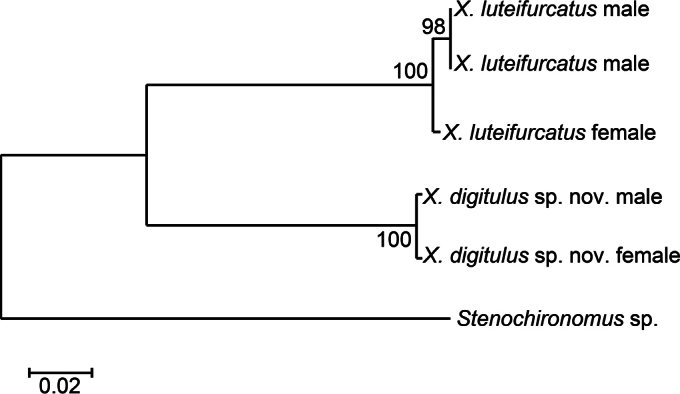 Figure 5