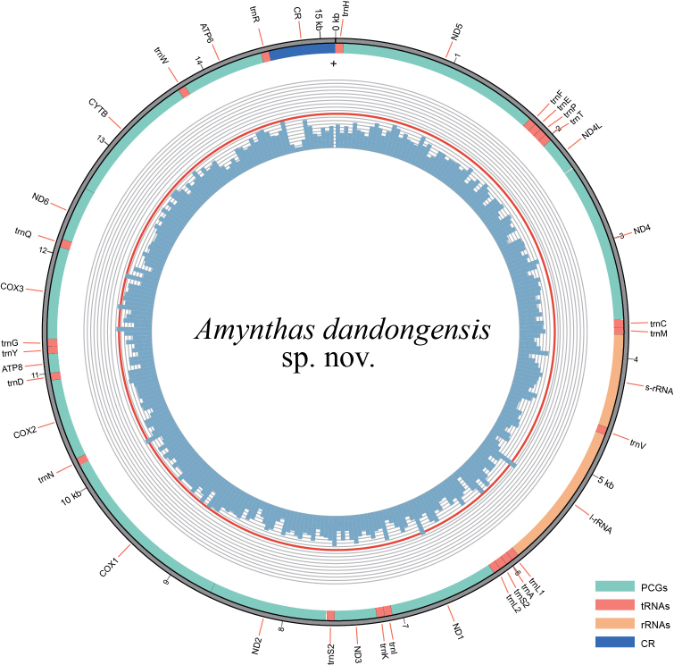 Figure 5