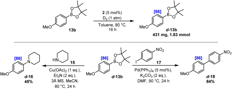 Scheme 5