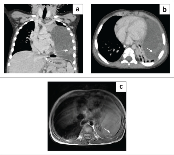 FIGURE 4