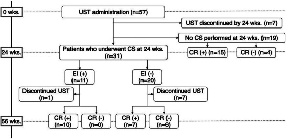 FIGURE 1