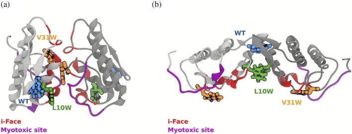 FIGURE 1