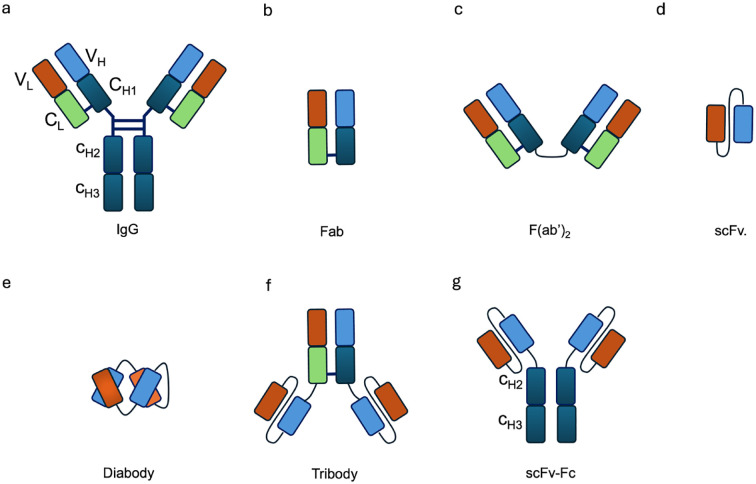 Figure 2