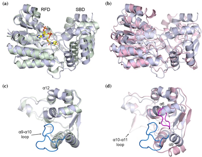 FIGURE 9