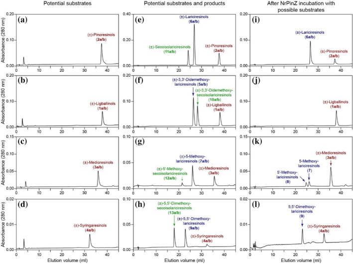 FIGURE 4