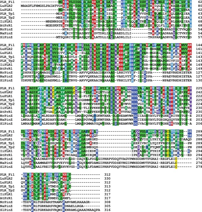 FIGURE 3