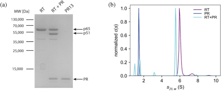 FIGURE 3