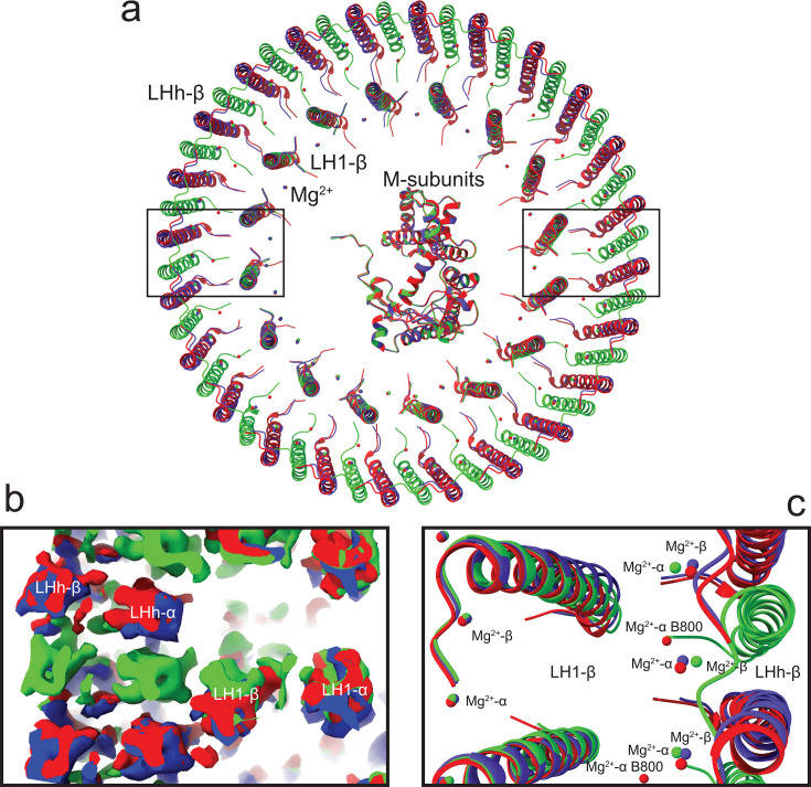 Fig 4
