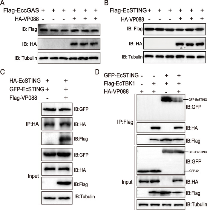 Fig 5