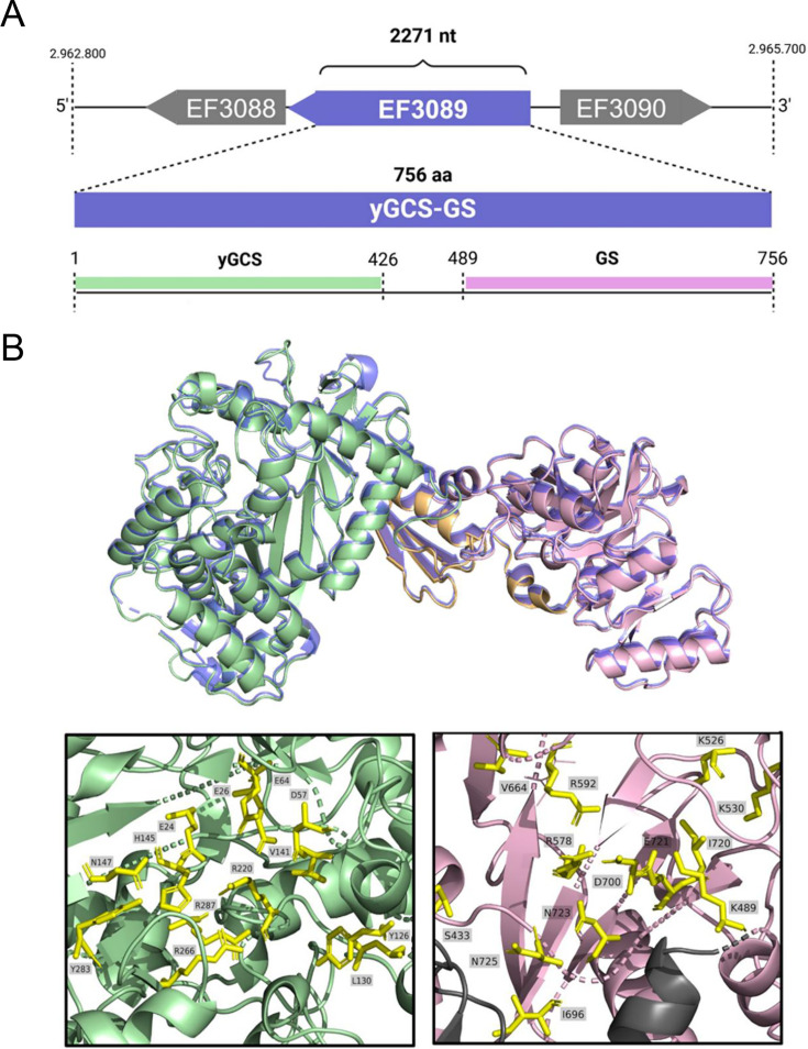 Fig 1