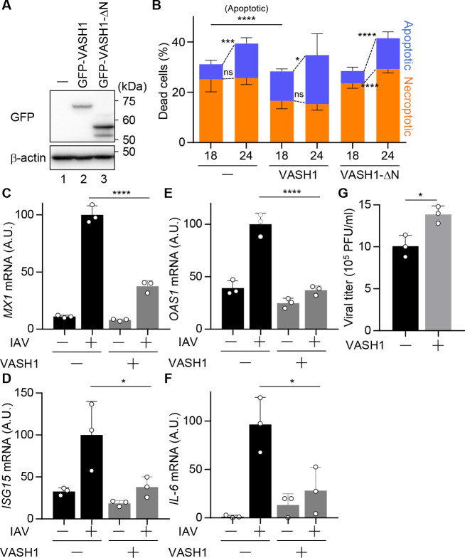 Fig 6