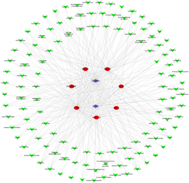 Fig 5