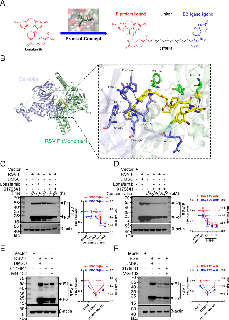 Fig 6