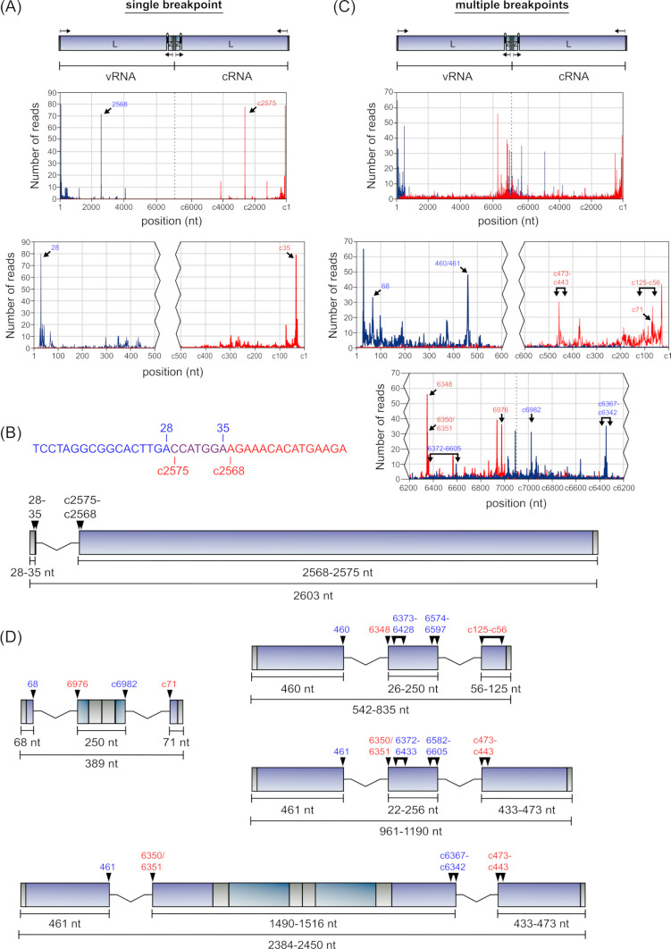 Fig 8