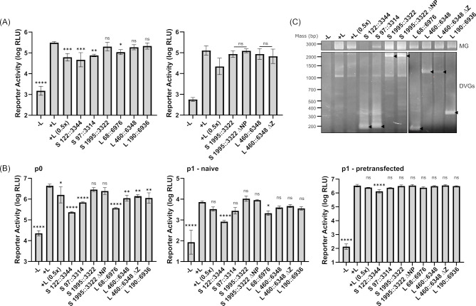Fig 10