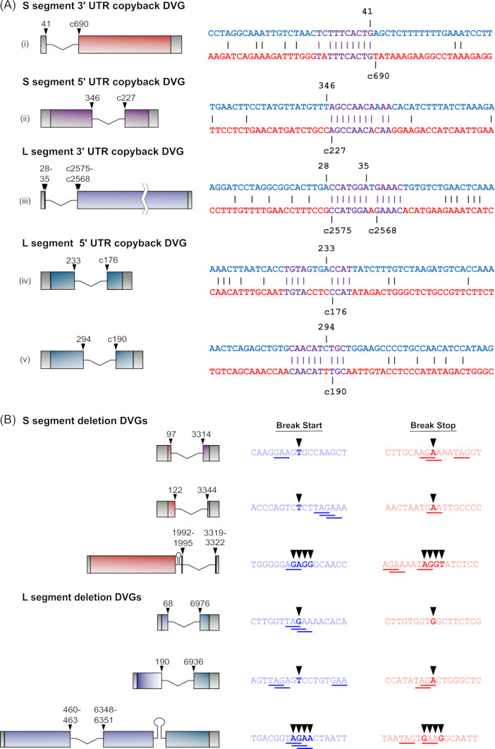 Fig 11