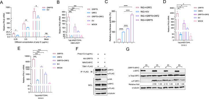Fig 10