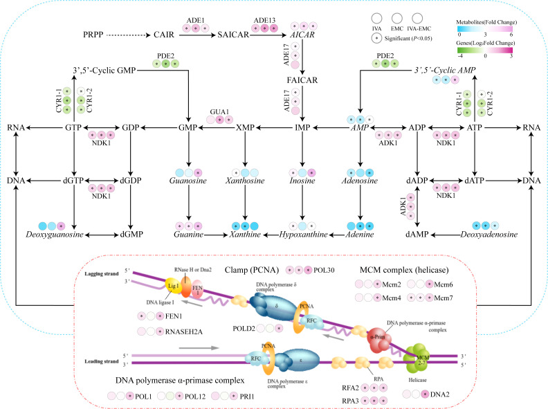 Fig 6