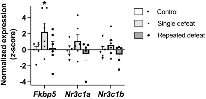 Figure 5