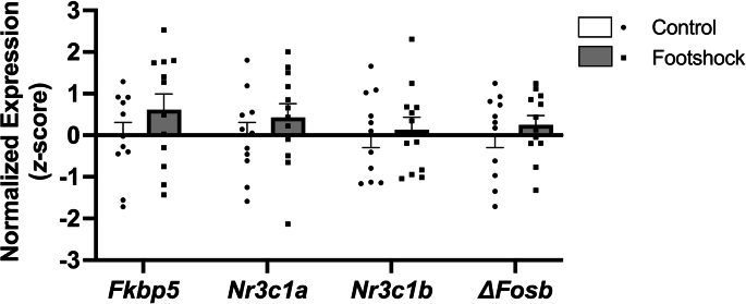 Figure 13