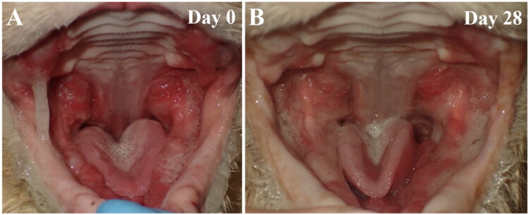 Figure 7