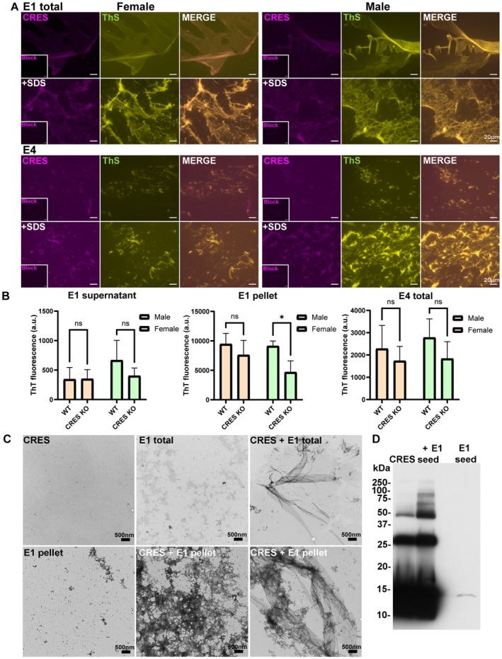 FIGURE 12