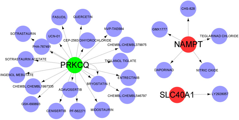 Fig 7