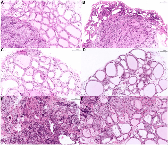 Fig 10