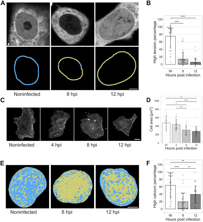 Fig 6