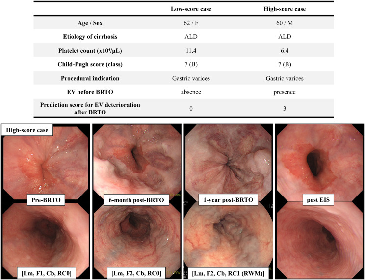 Fig 6