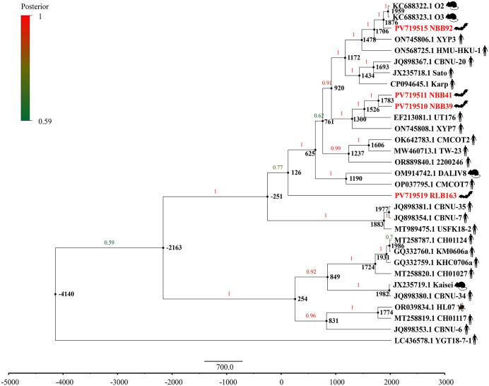 Fig 3